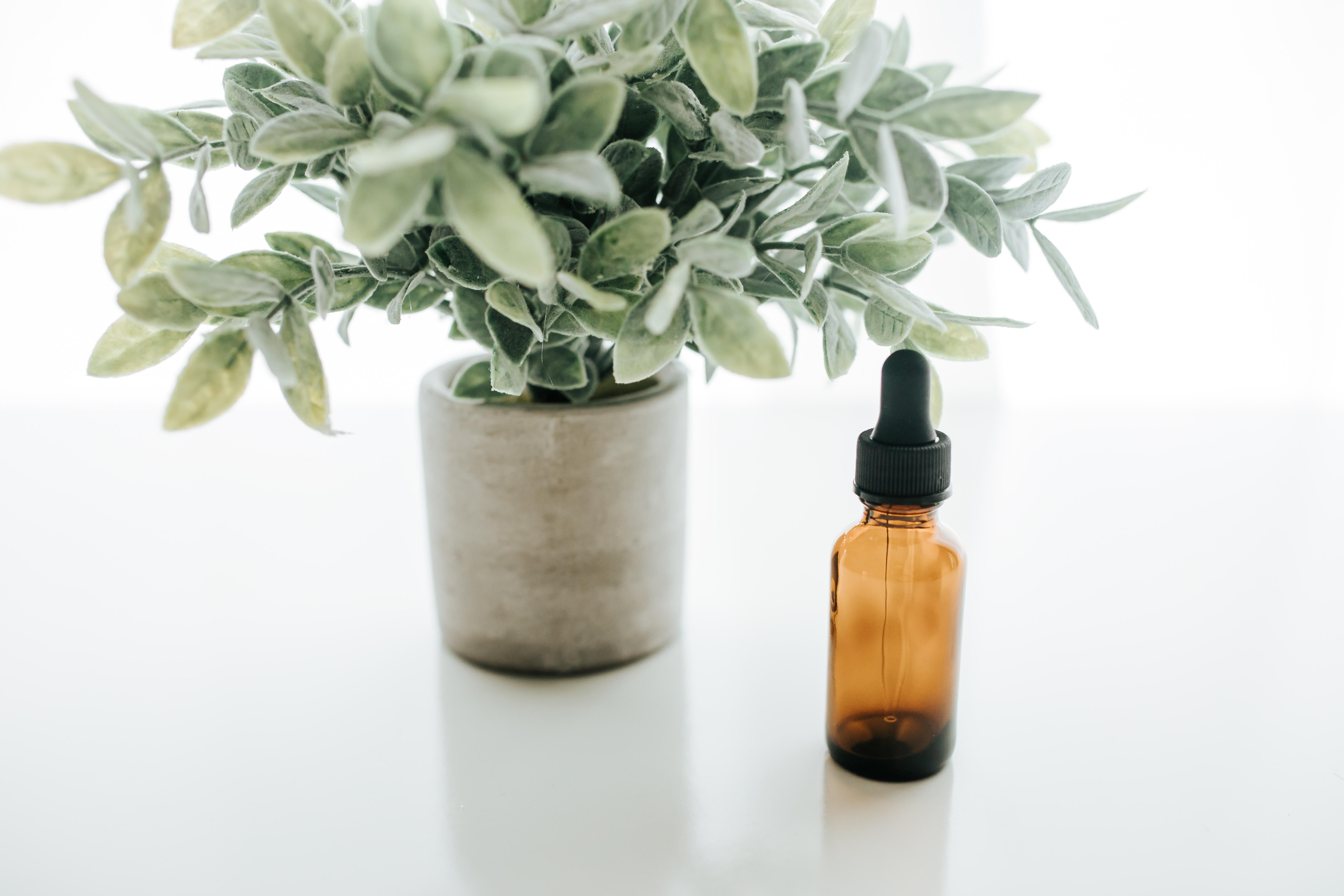 eucalyptus essential oil uses