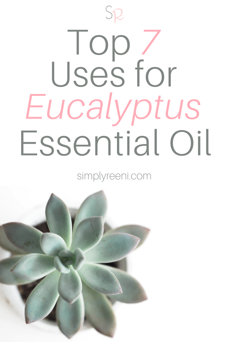 top 7 uses for eucalyptus essential oil post