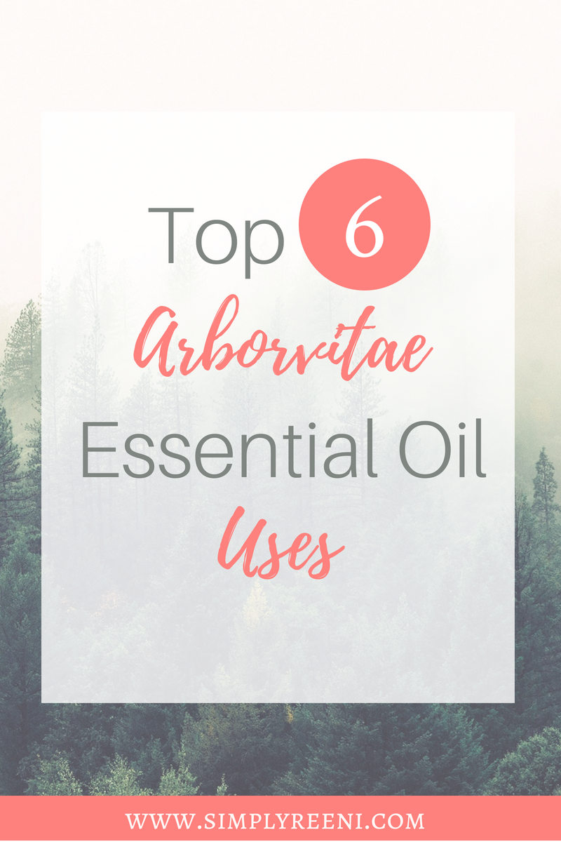 Top 6 arborvitae essential oil uses