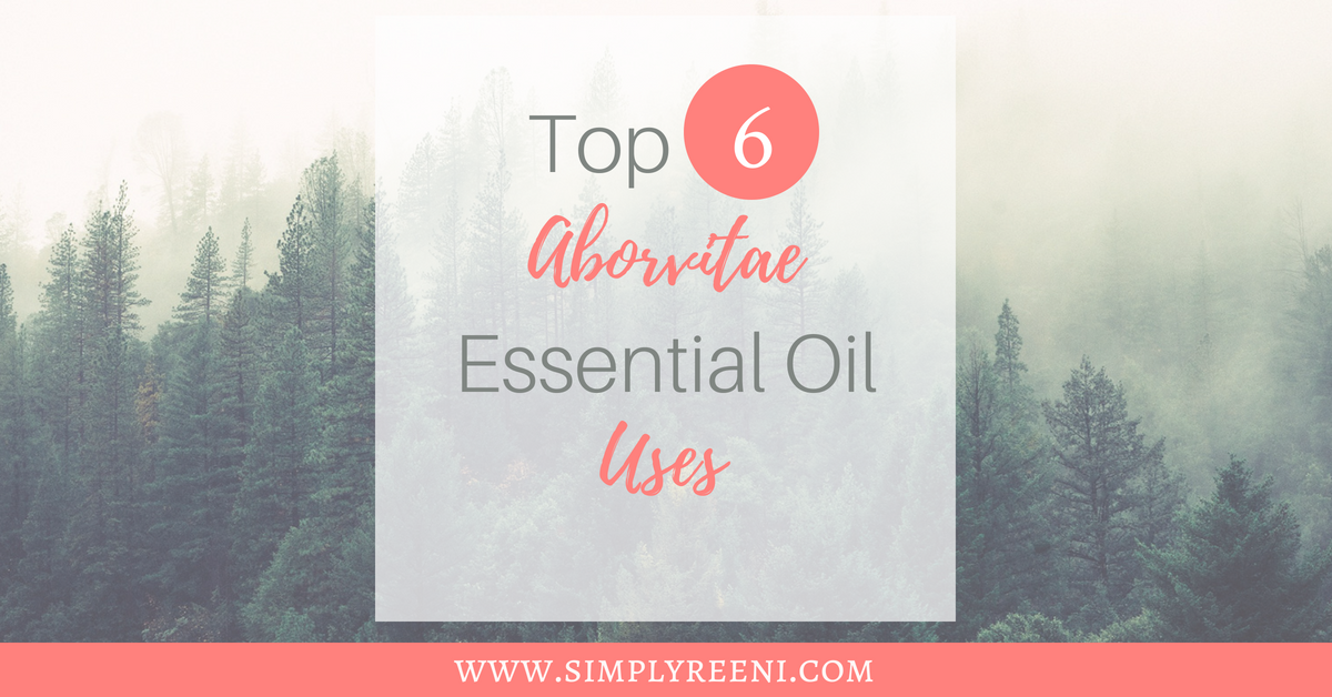 Top 6 arborvitae essential oil uses