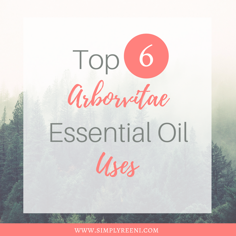 Top 6 Arborvitae Essential Oil Uses