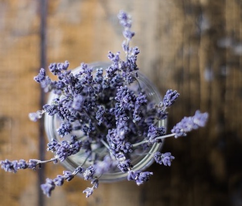 essential oils diffuser recipes for kids