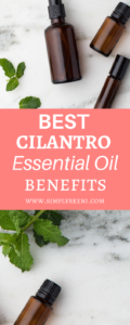Best Cilantro Essential Oil Benefits | SIMPLYREENI.COM