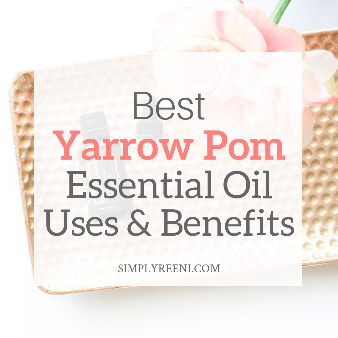 Best Yarrow Pom Essential Oil Uses and Benefits