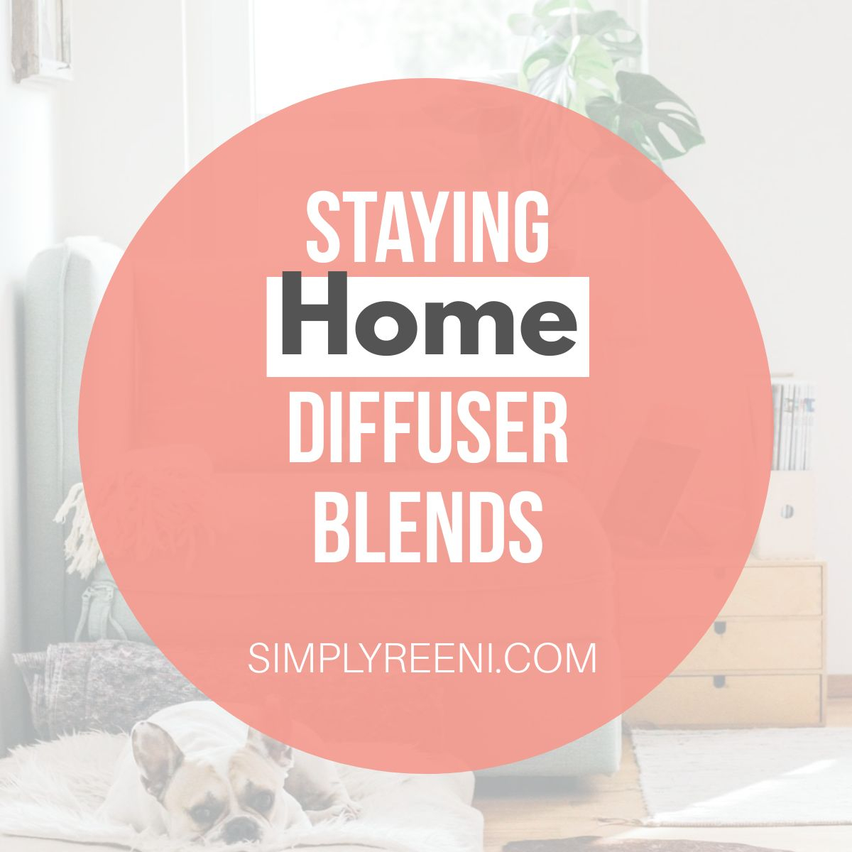 Staying Home Diffuser Blends