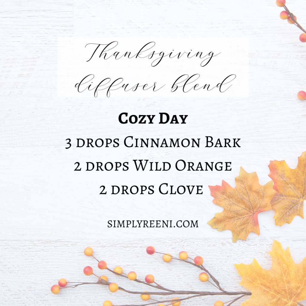 Thanksgiving Diffuser Blends3