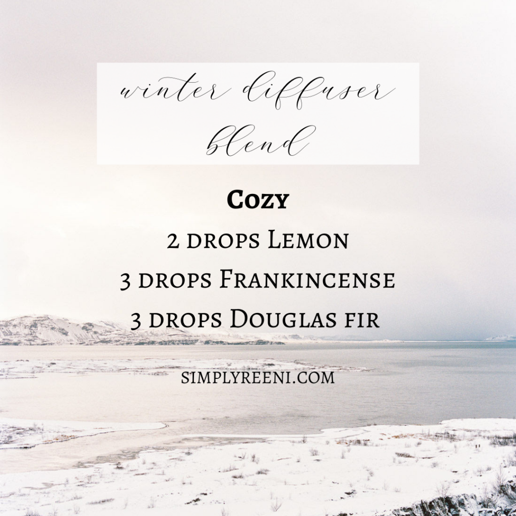 Winter Diffuser Blends Cozy